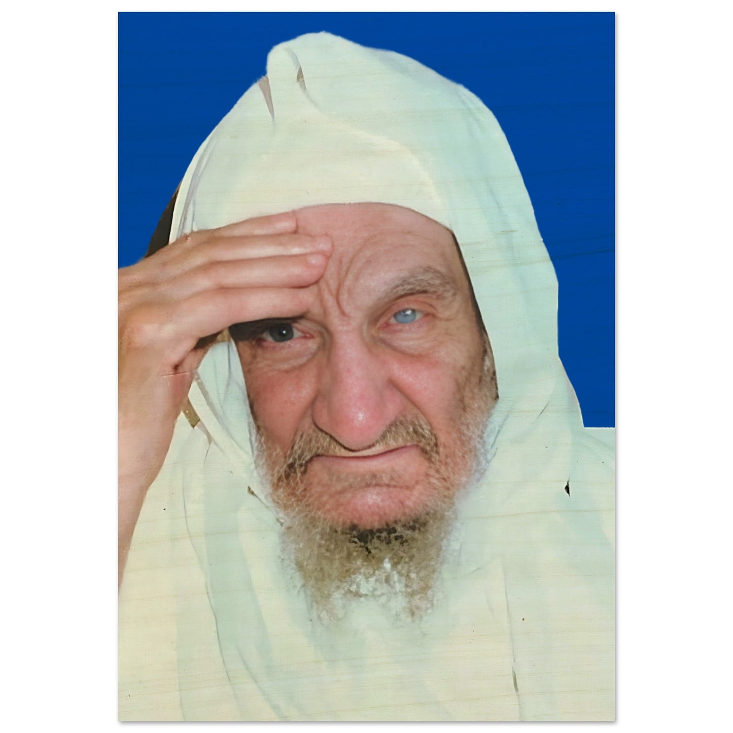 181b5f1e-9fc1-4406-83cd-a66bde3a87fe